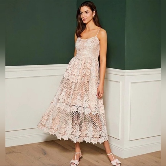 Alex Marie Kara Floral Lace Scoop Neck Midi Dress. - Picture 1 of 11
